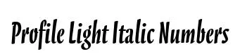 Profile Light Italic Numbers