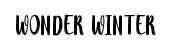 Wonder Winter