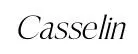 Casselin