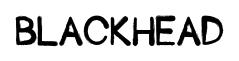 Blackhead original font preview