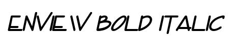 Enview Bold Italic