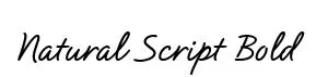 Natural Script Bold