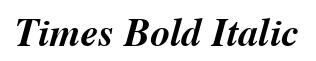 Times Bold Italic