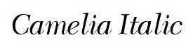 Camelia Italic