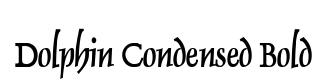 Dolphin Condensed Bold