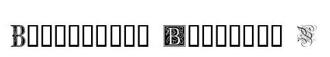 Ornamental Initials B