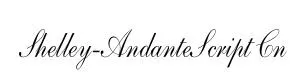 Shelley-AndanteScript Cn