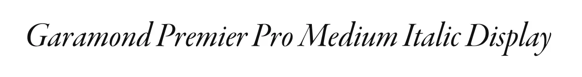 Garamond Premier Pro Medium Italic Display original font preview