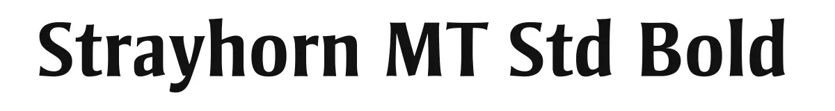 Strayhorn MT Std Bold original font preview
