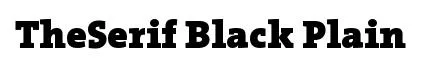 TheSerif Black Plain