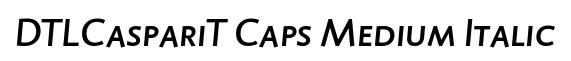 DTLCaspariT Caps Medium Italic