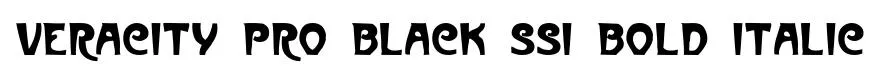 Veracity Pro Black SSi Bold Italic