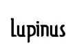 Lupinus