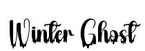 Winter Ghost