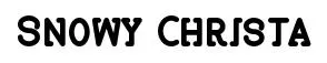 Snowy Christa