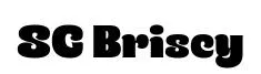 SG Briscy