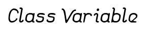 Class Variable