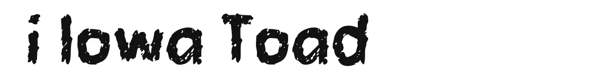 i Iowa Toad original font preview