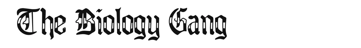 The Biology Gang font preview