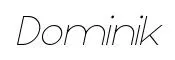 Dominik Thin Italic preview