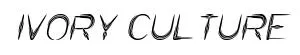 IVORY CULTURE Italic preview