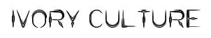 IVORY CULTURE original font preview