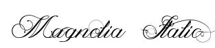 Magnolia  Italic