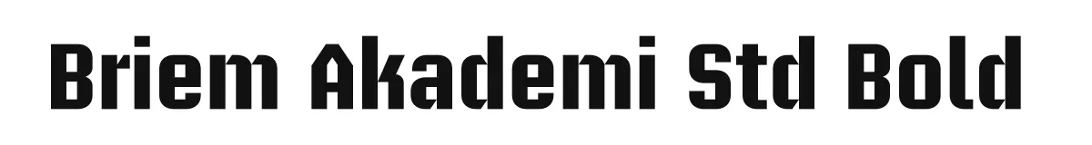 Briem Akademi Std Bold original font preview