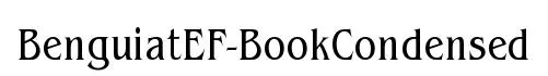 BenguiatEF-BookCondensed