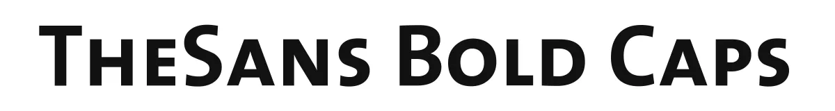 TheSans Bold Caps font preview