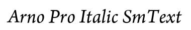 Arno Pro Italic SmText