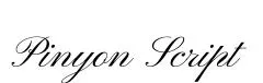 Pinyon Script