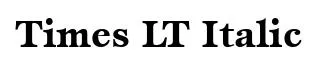 Times LT Italic