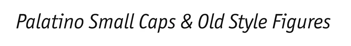 Palatino Small Caps & Old Style Figures font preview