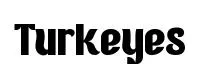 Turkeyes