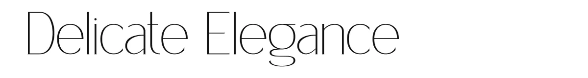 Delicate Elegance font preview