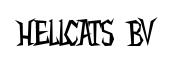 Hellcats BV