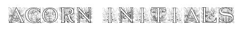 Acorn Initials original font preview