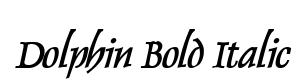 Dolphin Bold Italic