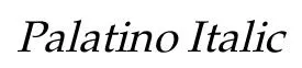 Palatino Italic