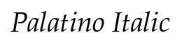 Palatino Italic