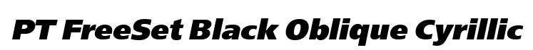 PT FreeSet Black Oblique Cyrillic