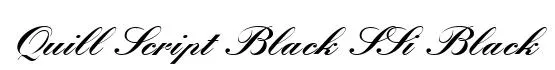 Quill Script Black SSi Black