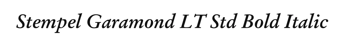 Stempel Garamond LT Std Bold Italic original font preview