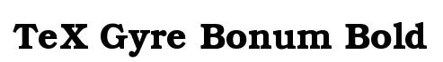 TeX Gyre Bonum Bold