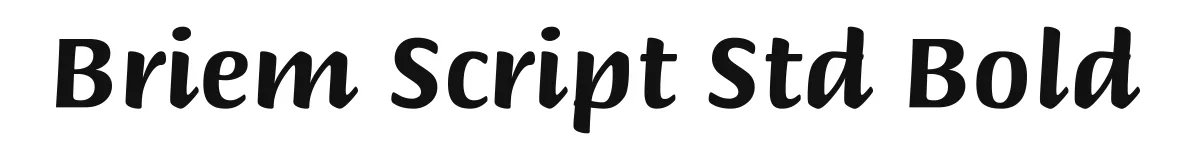 Briem Script Std Bold original font preview