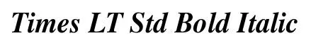 Times LT Std Bold Italic