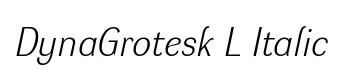 DynaGrotesk L Italic