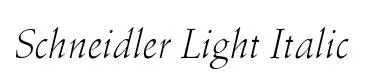 Schneidler Light Italic