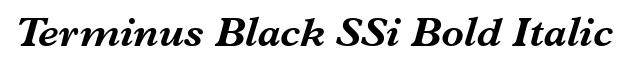 Terminus Black SSi Bold Italic